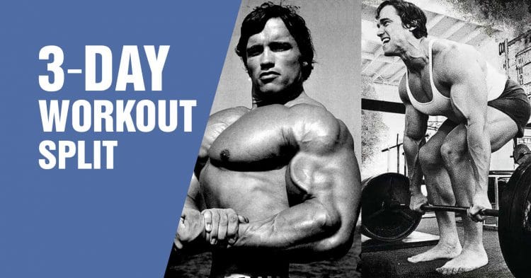 3 Day Workout Split
