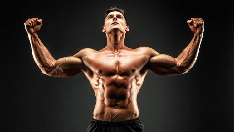 4 Week Gym Routine Beginners