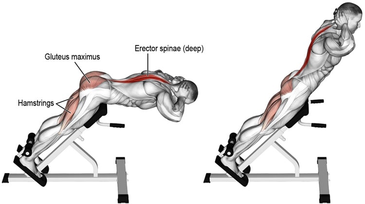 45 Degree Back Extensions