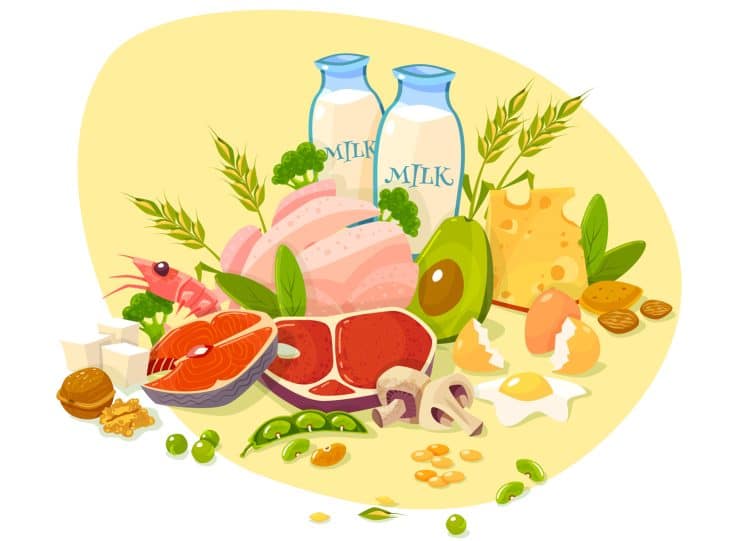 Anabolic Diet