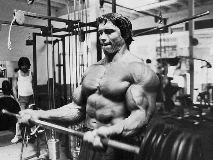 Arnold Cheat Curls