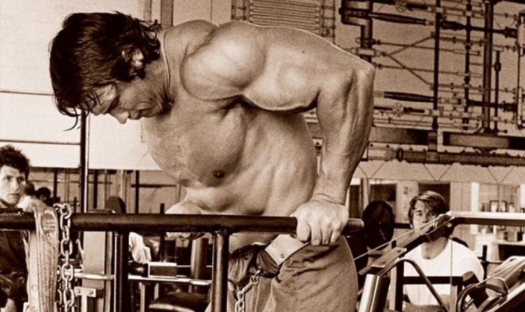 Parallel bar dips