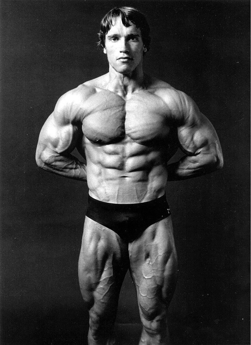 arnold-schwarzenegger-2