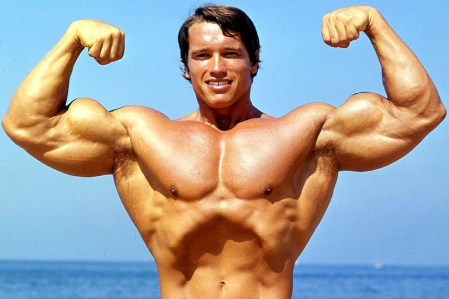 arnold-schwarzenegger-terminator