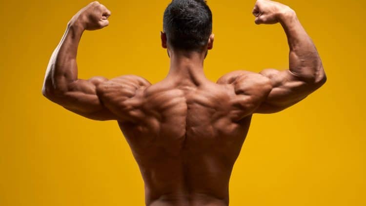 Back and Shoulder Workout