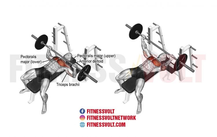 Barbell Bench Press