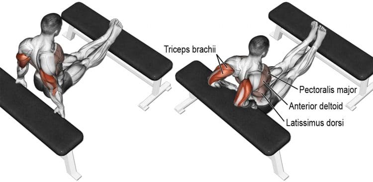 Bench Dips