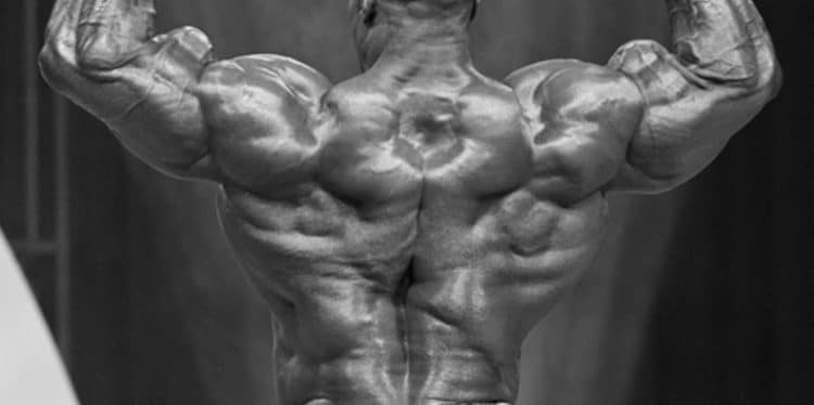 Best Back Ever