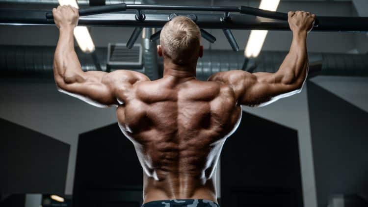 Best Compound Back Exercises