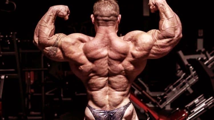 Best Lower Back Exercises