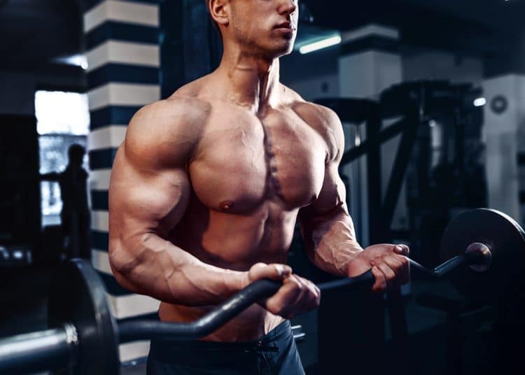 Biceps Exercises
