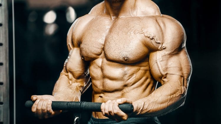 Bigger Arm Workouts