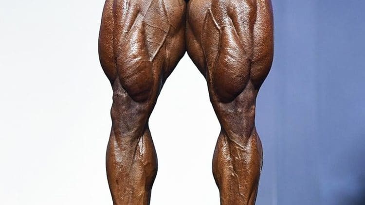 Bigger Legs