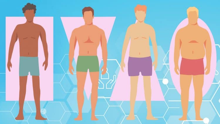 Body Shapes