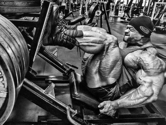 Leg Press