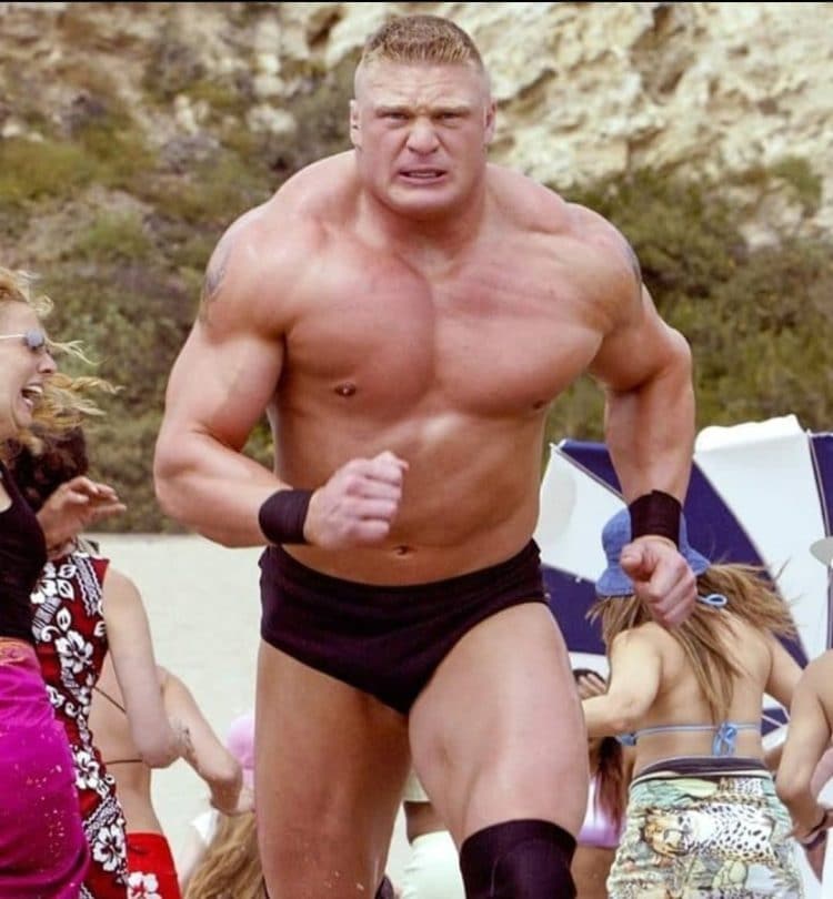 Brock Lesnar Diet Program