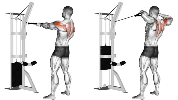 Cable Face Pulls