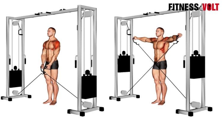 Cable Lateral Raise