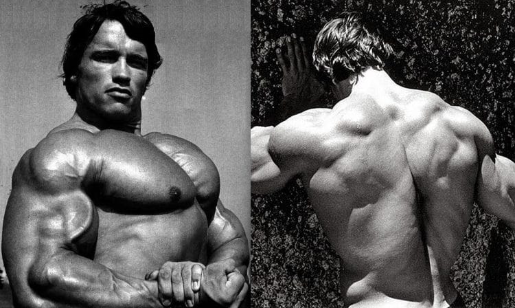 Chest and Back