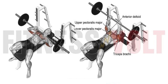 Close Grip Bench Press