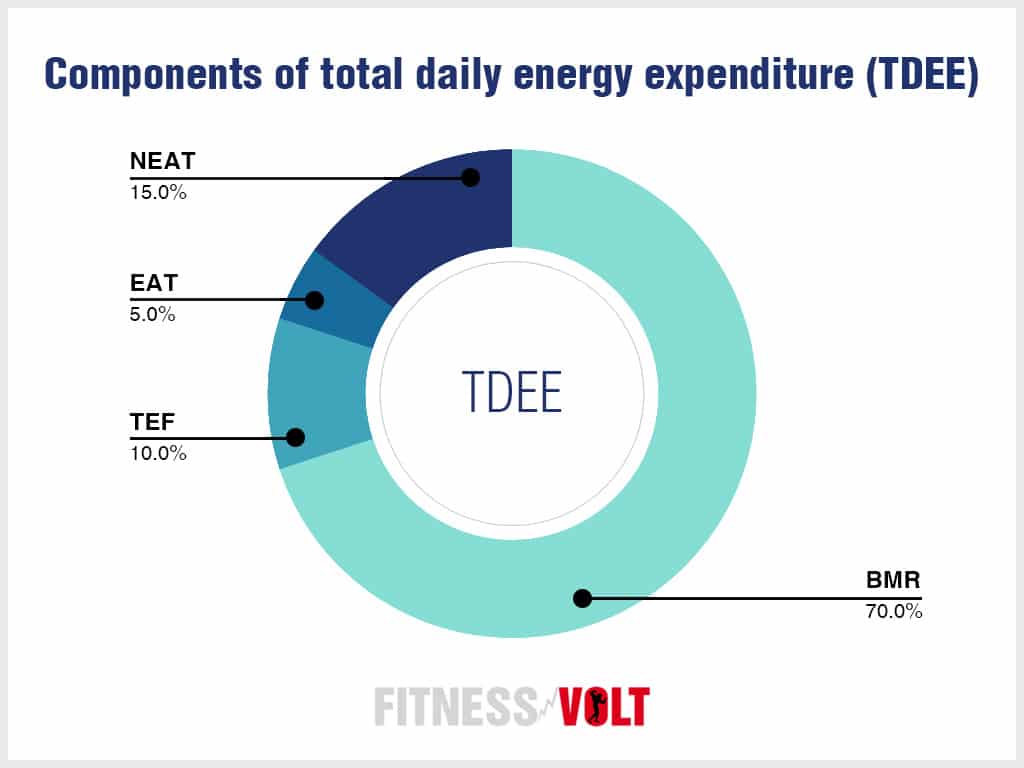 Components of total daily energy expenditure
