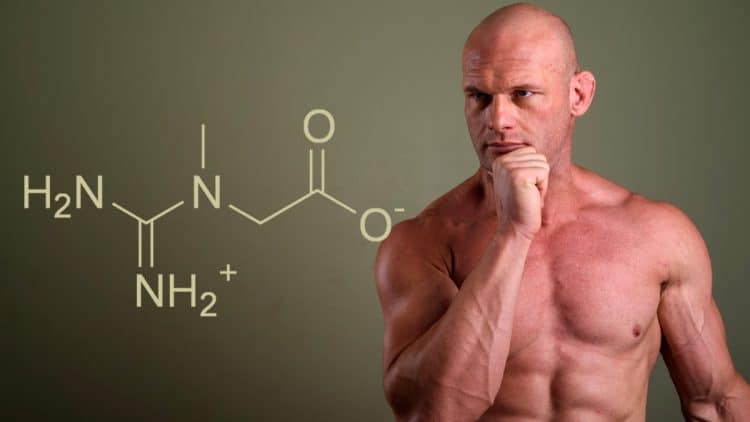 Creatine Hair Loss