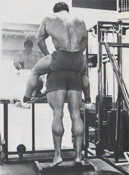 Donkey Calf Raises