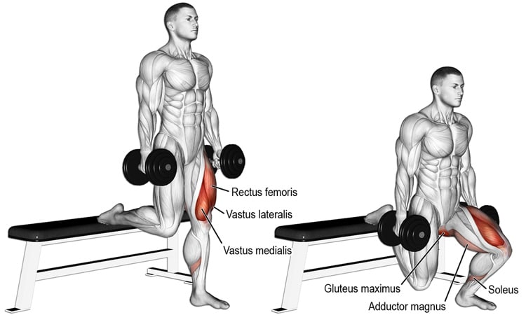 Dumbbell Bulgarian Split Squat