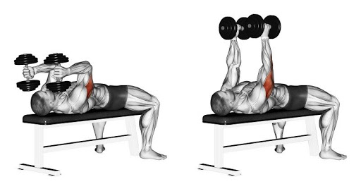 Dumbbell Skull Crushers
