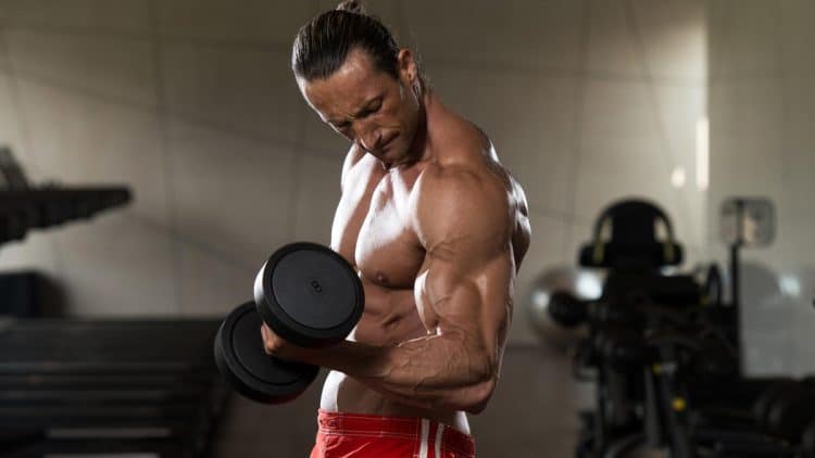 Exercises Per Muscle