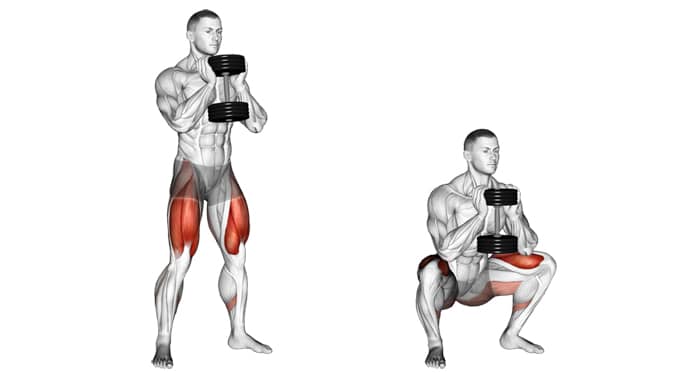 Goblet Squat