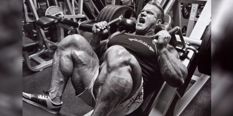 Hack Squat Guide