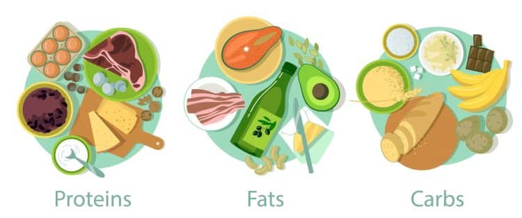 Healthy Diet