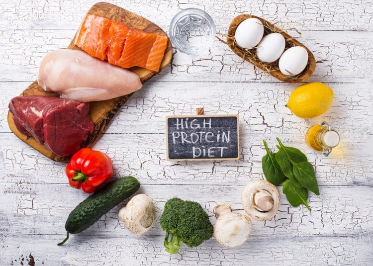 High Protein Diet