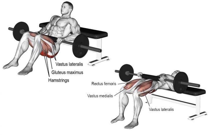 Hip Thrust