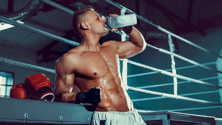 Creatine In Your System