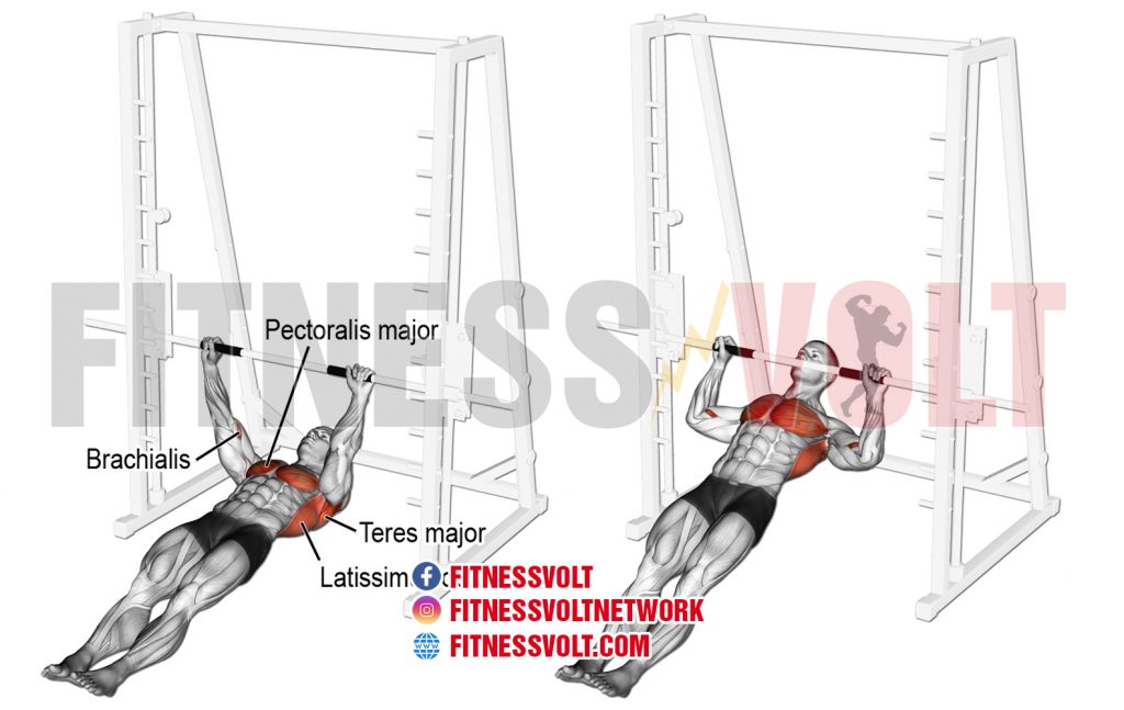 Inverted Row