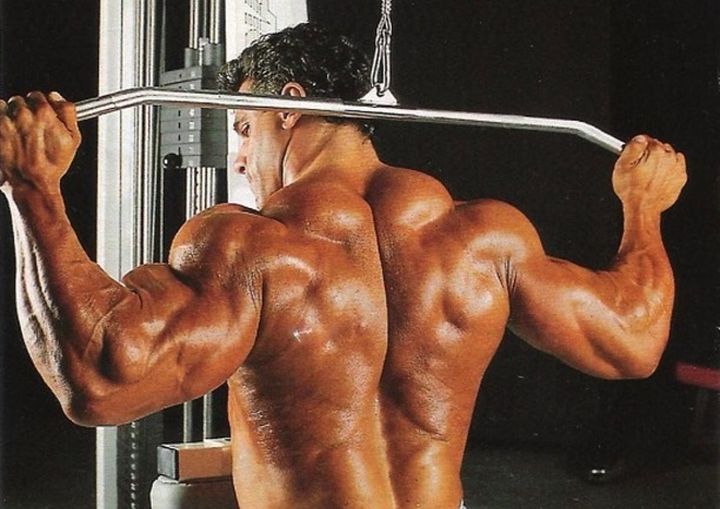 Lou Ferrigno Back Workout