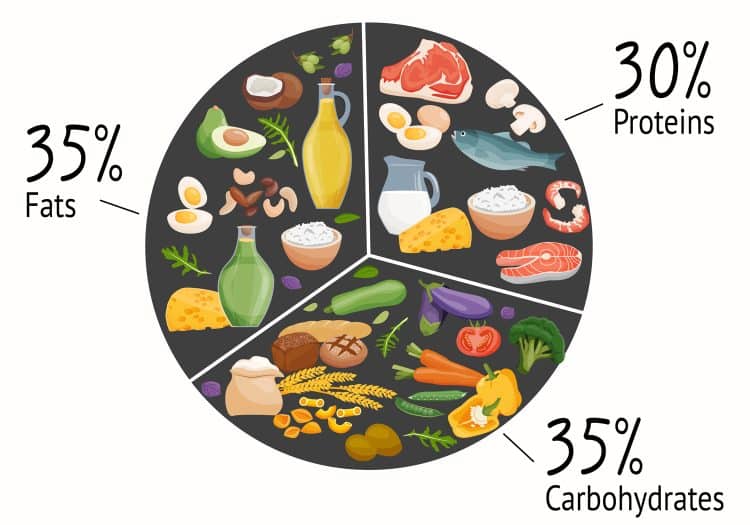 Macronutrients