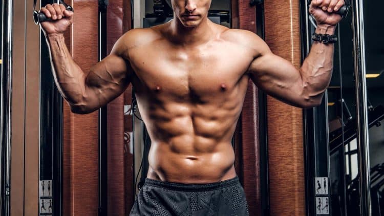 Mesomorph Workout Diet Program