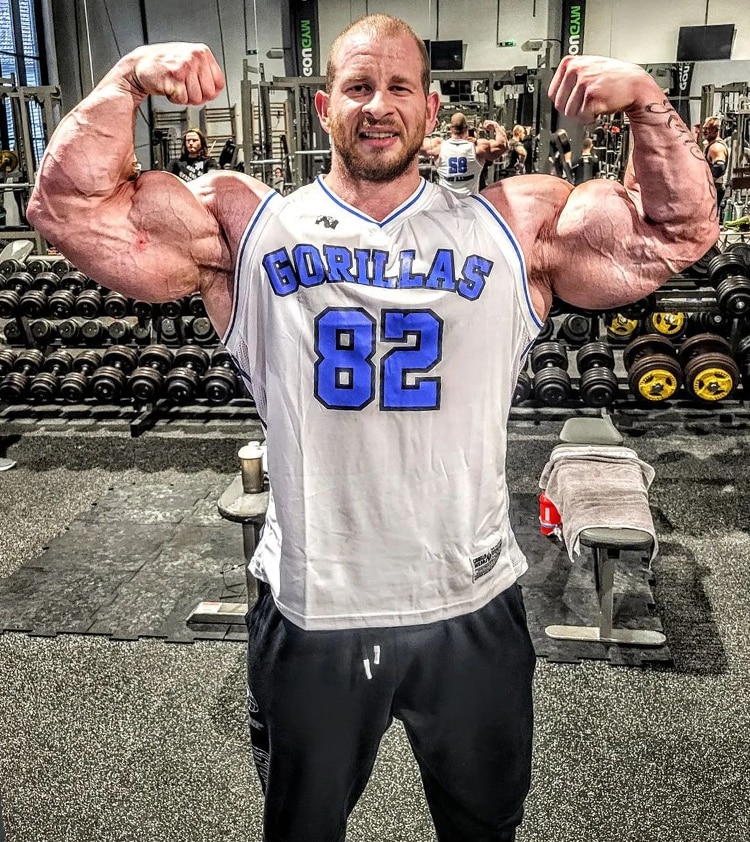 Michal Krizo Arms