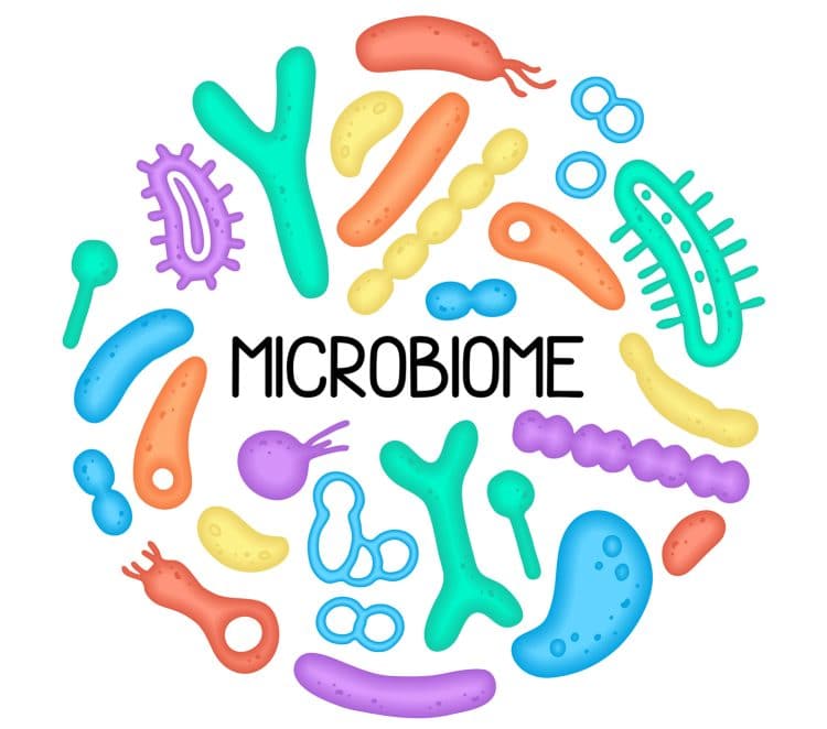 Microbiome