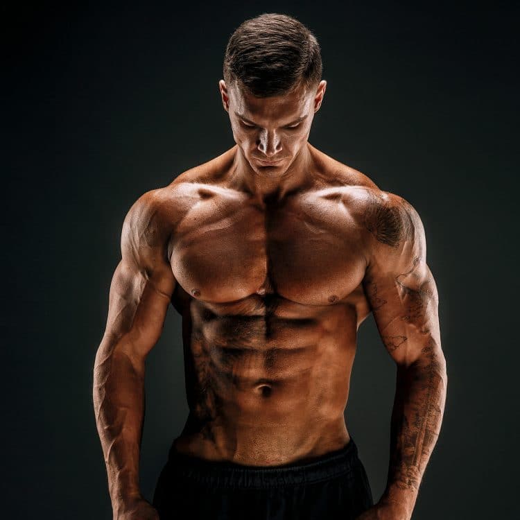 Muscle Building Science