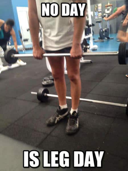 No Day Leg Day