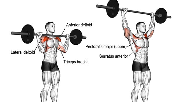 Overhead Press