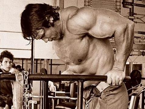Parallel bar dips