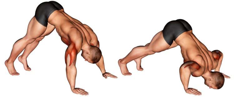 Pike Push Up