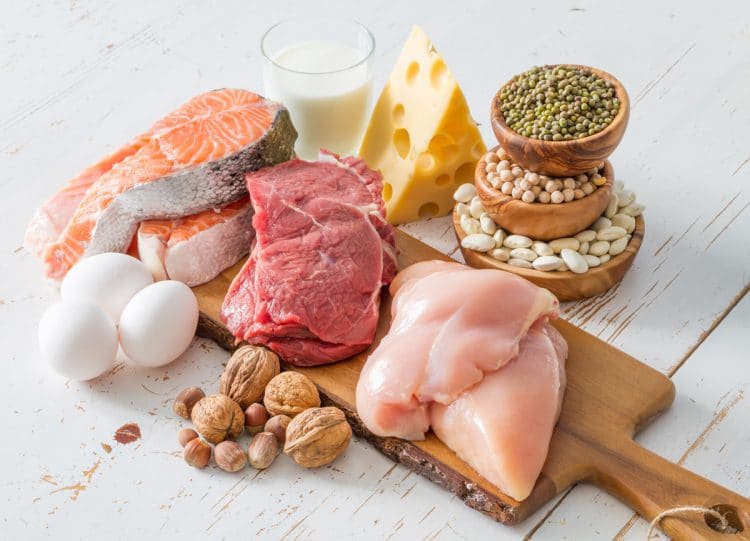 Protein Sources