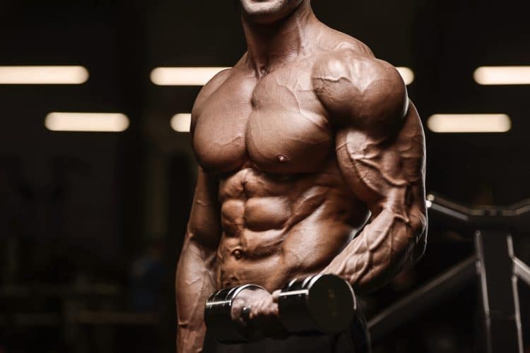 Pumping Up Biceps Muscles