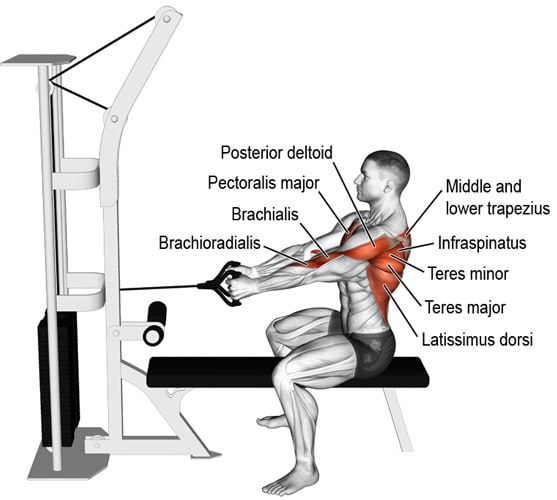 Seated Cable Rows